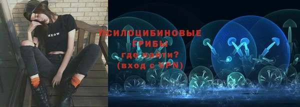 соль ск Алзамай