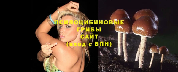 соль ск Алзамай
