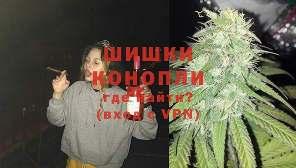 соль ск Алзамай