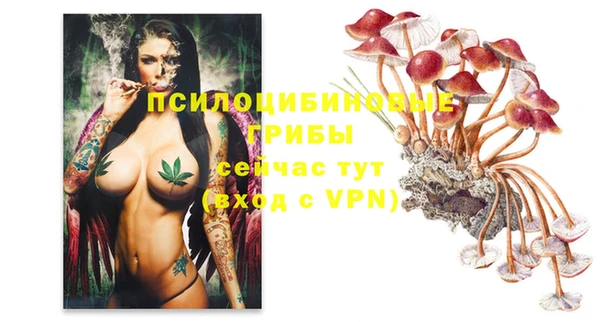 марки lsd Алексеевка