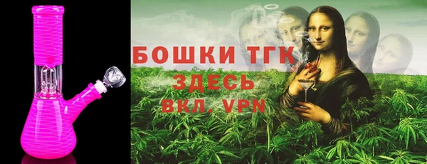 соль ск Алзамай