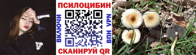 Галлюциногенные грибы GOLDEN TEACHER  Динская 